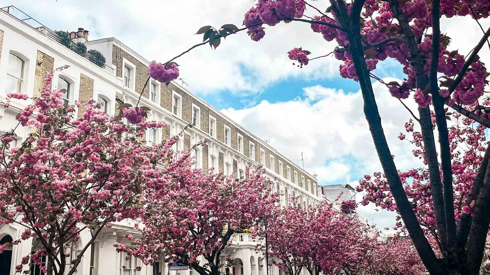 chelsea-living-area-guide