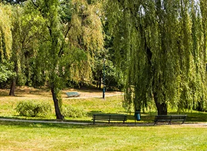 Millennium Green & Claremont Park