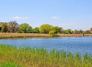 Finsbury Park, Alexandra Palace & Woodberry Wetlands