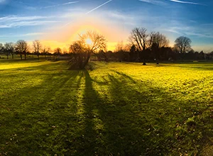 Sunny Hill Park & Hendon Park