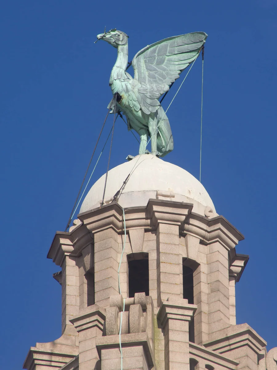 A detailed close-up of the iconic copper Liver Bird statue atop the historic Royal Liver Building against a clear blue sky in Liverpool