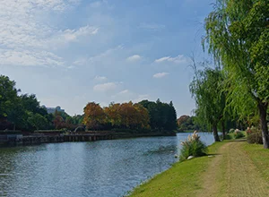 Staines Reservoir & Local Parks