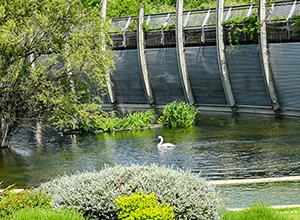 Mile End Park & Victoria Park