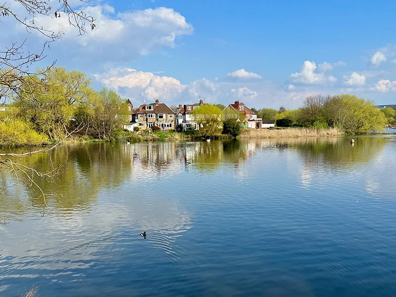 Who rents in Brent Cross?